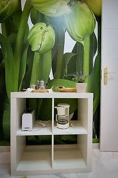 Holidays2Malaga City Center Apartments